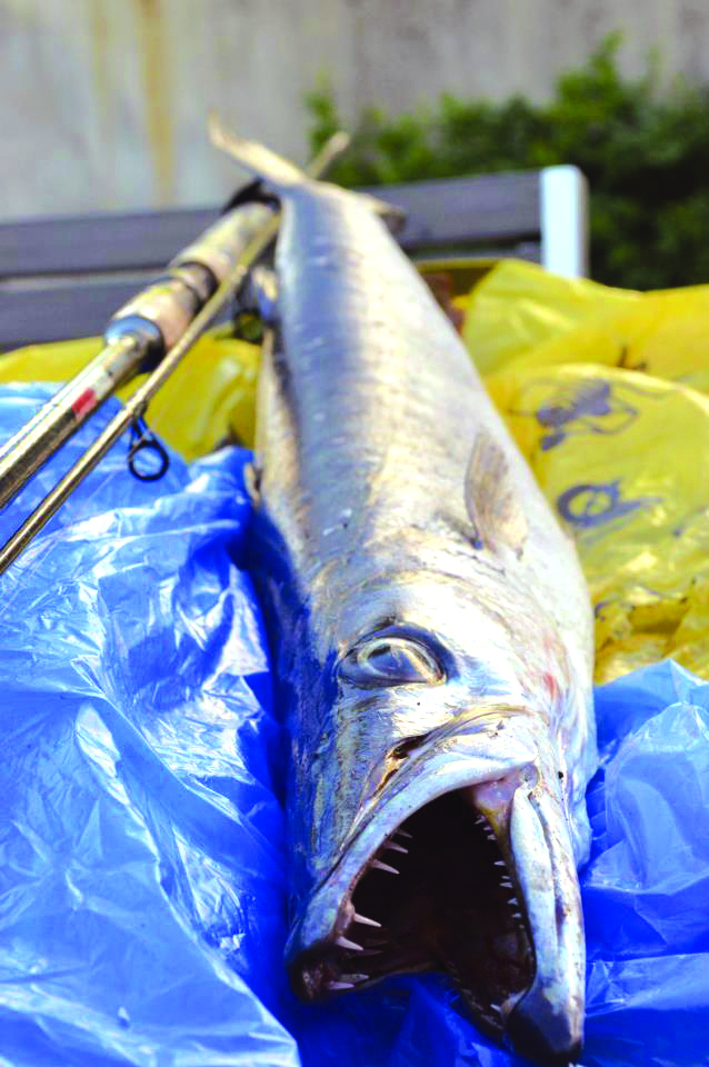 Cyprus Fishing Magazine Η σημασία και ο τρόπος ρύθμισης των φρένων